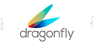 Logo dragonfly