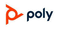 Logo poly
