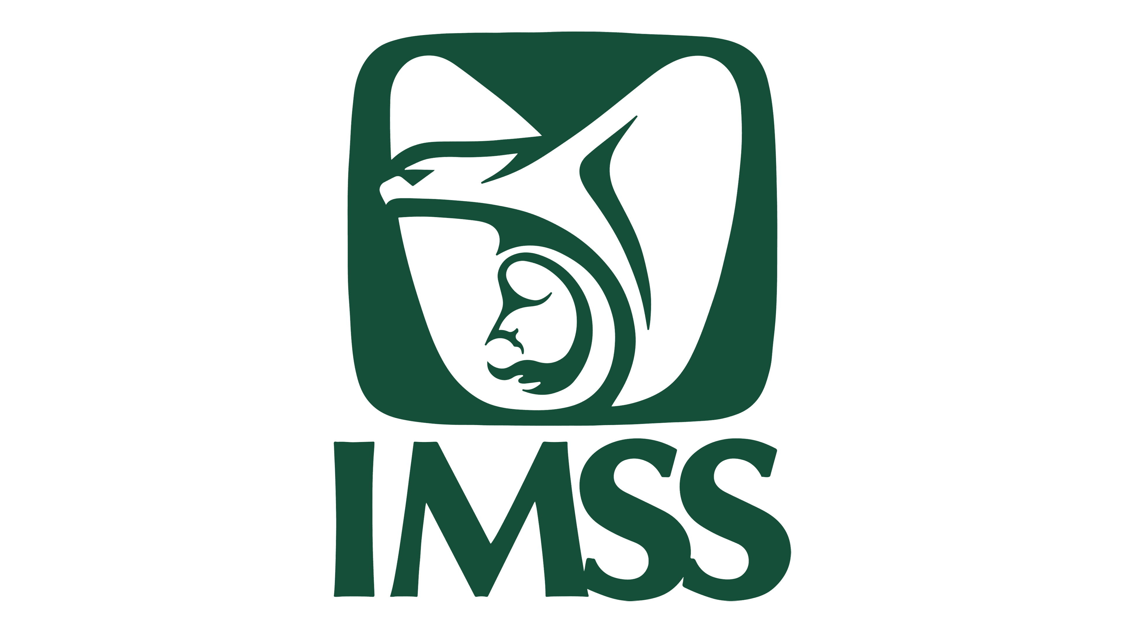Cliente IMSS
